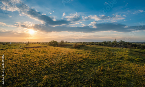 Golden Horizons: A Rural Landscape