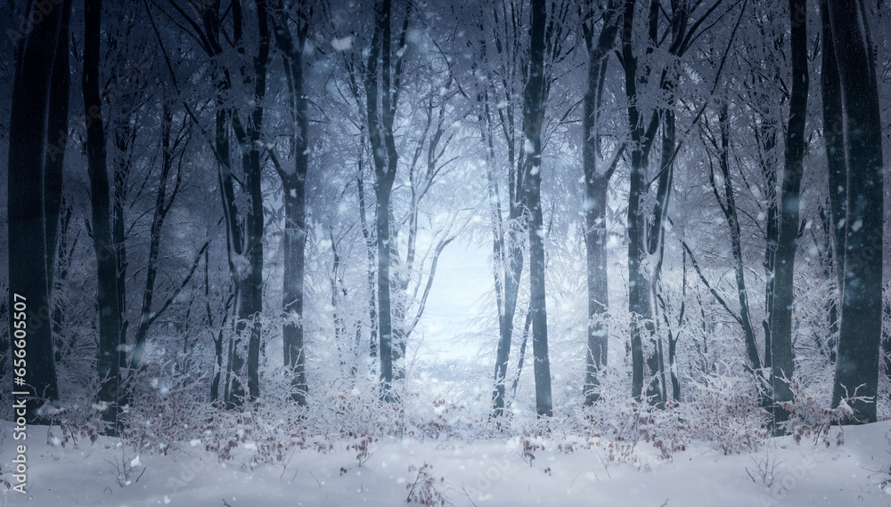 Naklejka premium fantasy winter forest landscape with snow flakes falling