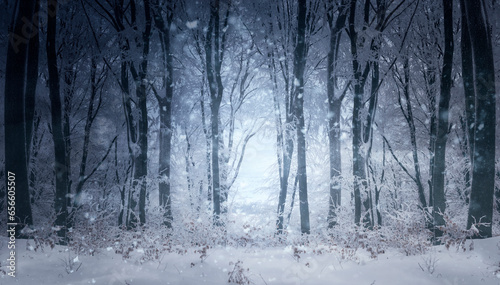fantasy winter forest landscape with snow flakes falling