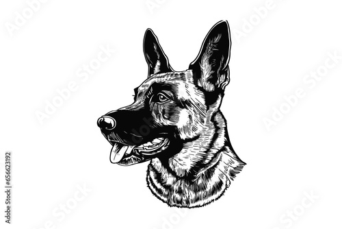 Belgian Malinois Presence: A Striking Vector Illustration of an Elegant Dog