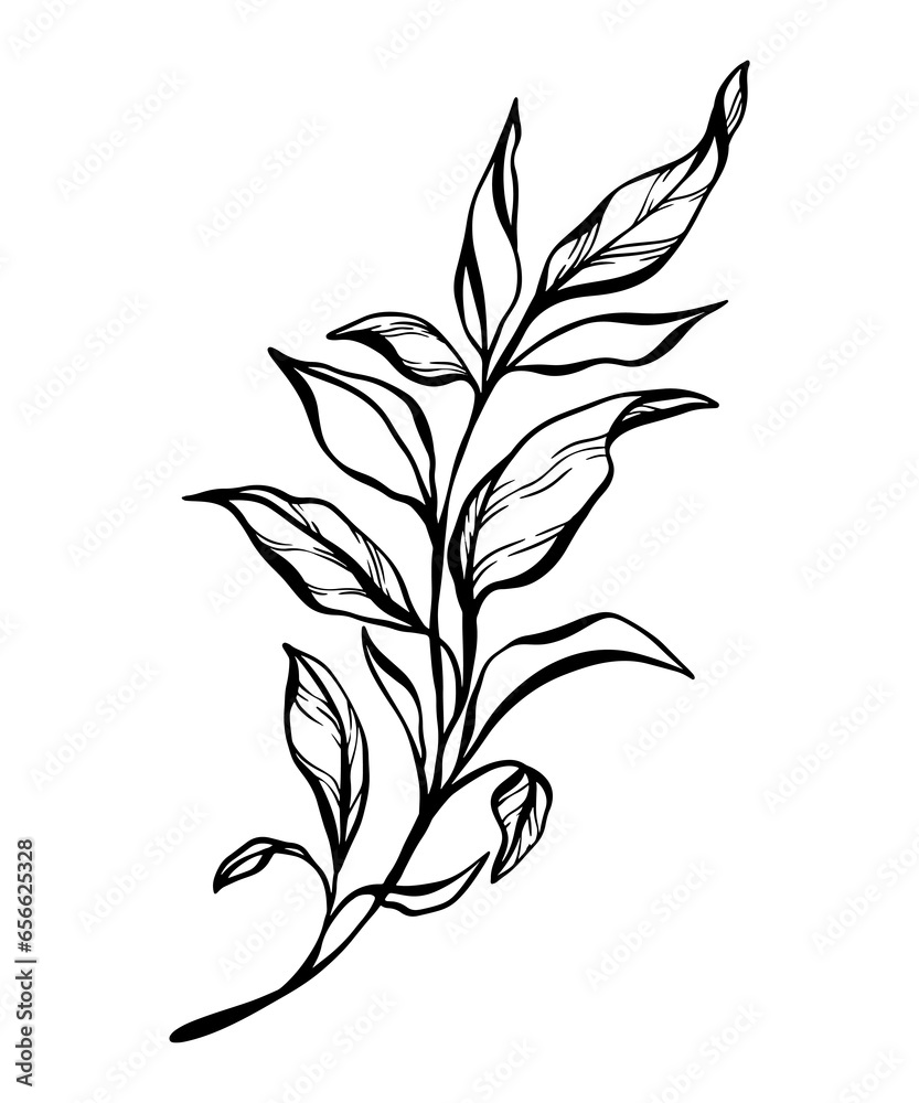 Naklejka premium Botanical line illustration of a leaves branch for wedding invitation and cards, logo design, web, social media and posters template. Elegant minimal style floral vector isolated. 