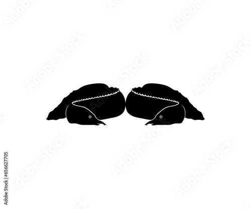 Silhouette of the fire eel (Mastacembelus erythrotaenia) is a relatively large species of spiny eel, can use for art Illustration, logo type, pictogram, website, or graphic design element. Vector 