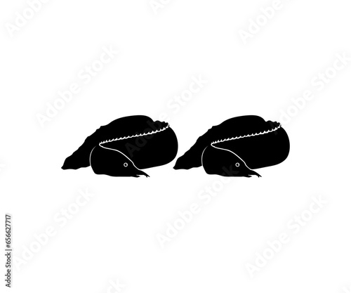 Silhouette of the fire eel (Mastacembelus erythrotaenia) is a relatively large species of spiny eel, can use for art Illustration, logo type, pictogram, website, or graphic design element. Vector 