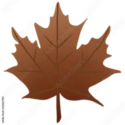 autumn maple leaf
