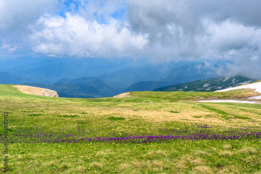 Scenic panoramic view of idyllic rolling hills landscape with blooming meadows and snowcapped alpine mountain peaks. A beautiful sunny day with blue sky and clouds in springtime. Scenic panoramic view of idyllic rolling hills landscape with blooming meadows and snowcapped alpine mountain peaks. A beautiful sunny day with blue sky and clouds in springtime.