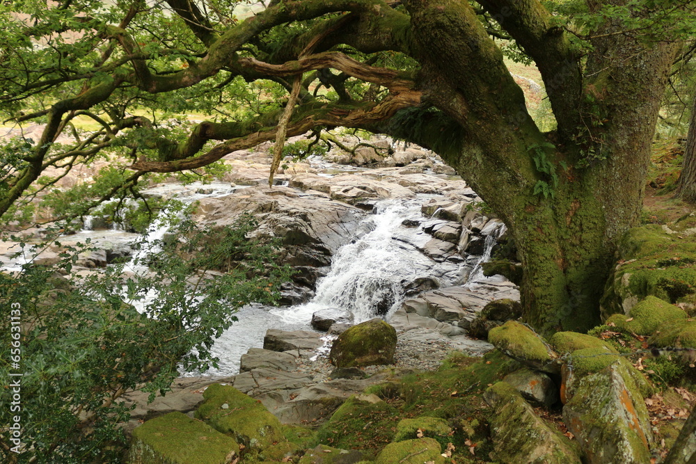 waterfall in the forest