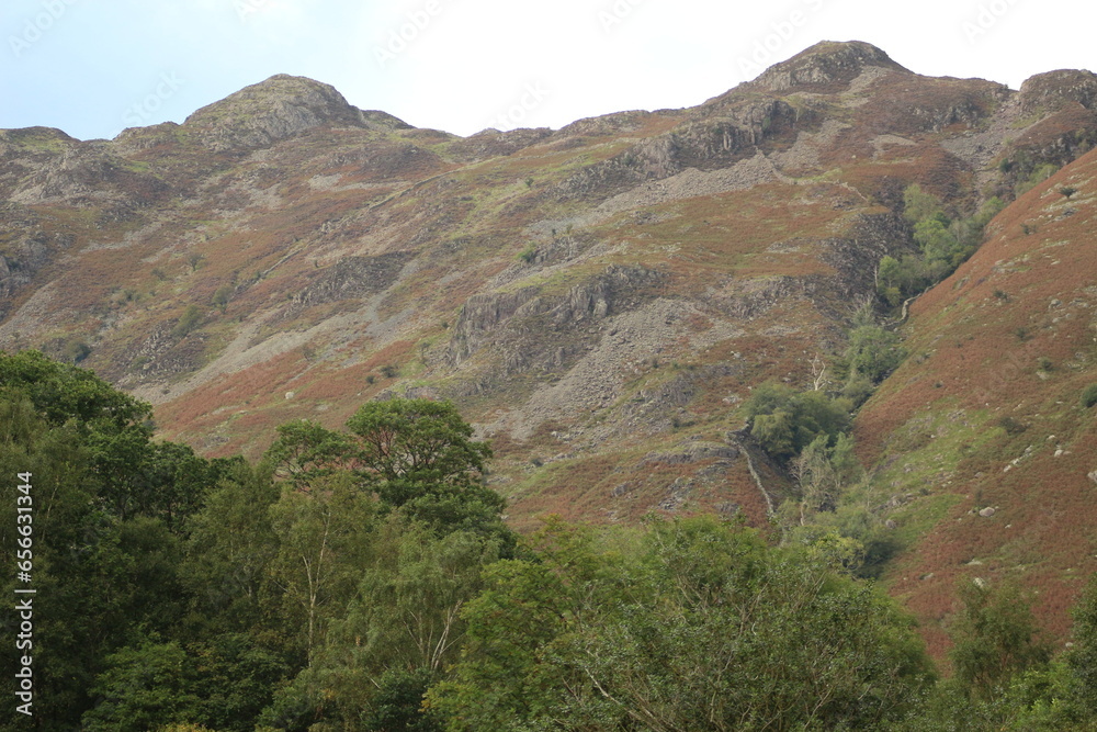 Naklejka premium view from the top of the mountain