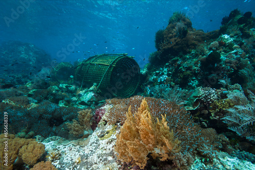 Fish trap placed on a coral reef.