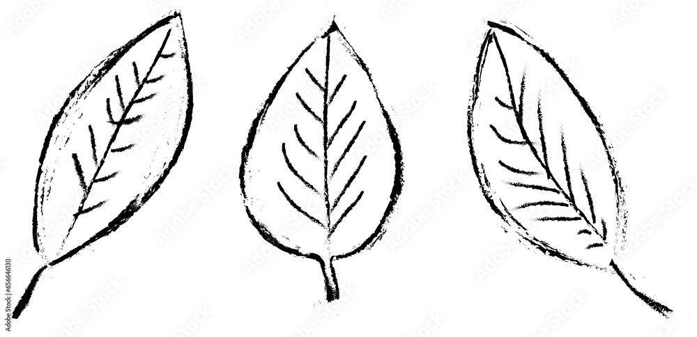 Fototapeta premium Hand draw leaf icon, doodle symbol