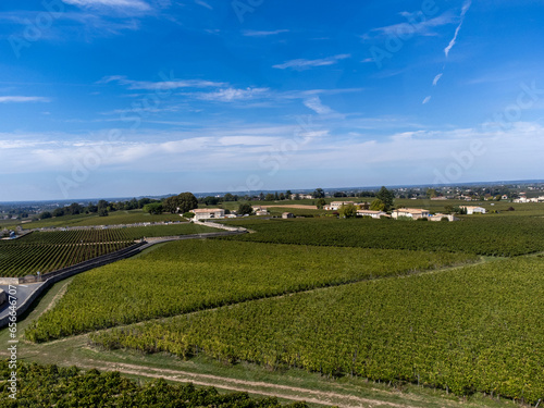 Harvest time in Saint-Emilion medieval village, wine making region on right bank of Bordeaux, ready to harvest Merlot or Cabernet Sauvignon red wine grapes, France in september, aerial view