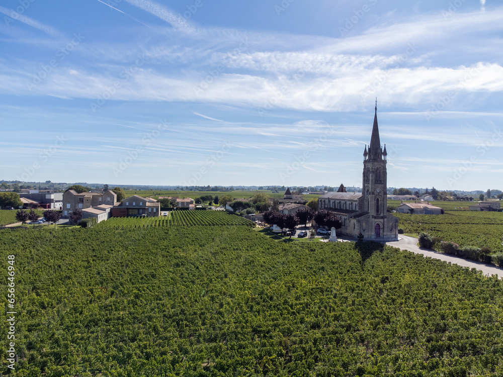 Aerial view on rows of Merlot red grapes in Saint-Emilion wine making region in Pomerol,  right bank in Bordeaux, ripe and ready to harvest Merlot or Cabernet Sauvignon red grapes, France