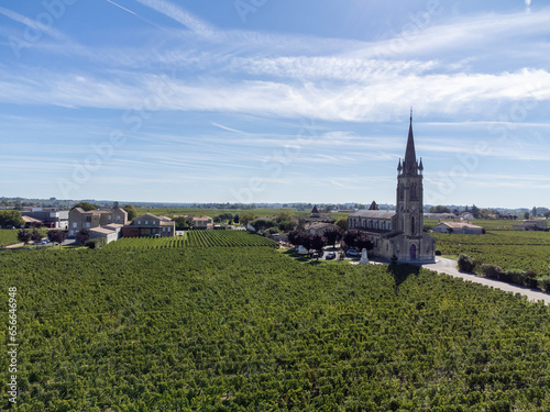 Aerial view on rows of Merlot red grapes in Saint-Emilion wine making region in Pomerol,  right bank in Bordeaux, ripe and ready to harvest Merlot or Cabernet Sauvignon red grapes, France photo