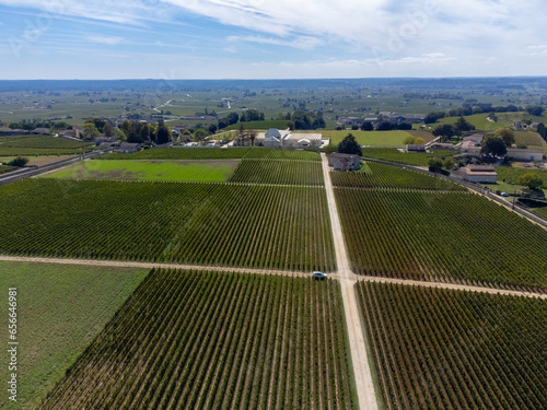 Harvest time in Saint-Emilion medieval village  wine making region on right bank of Bordeaux  ready to harvest Merlot or Cabernet Sauvignon red wine grapes  France in september  aerial view