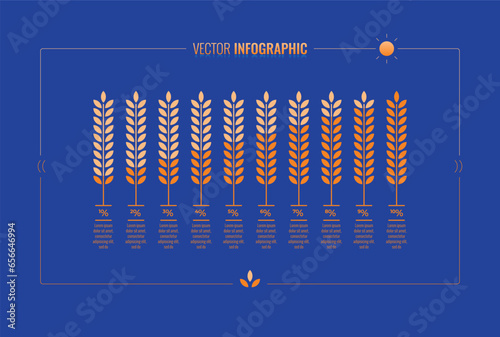 infographic template with spike symbol. spike, wheat and percent numbers. food infographic