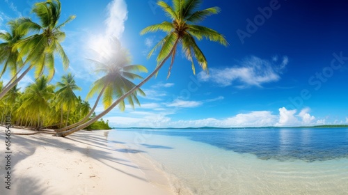Beauty view of beach line with tall palms tree and ocean. White sand. Bright tropical summer sun and blue sky with light clouds. Wide format.