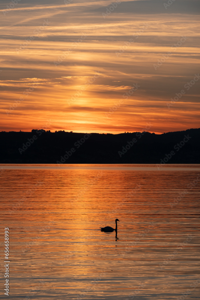 Sunset over the shores of the Zurich Lake, Rapperswil, St Gallen, Switzerland