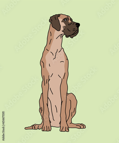 Great Dane Dog Sitting Front View