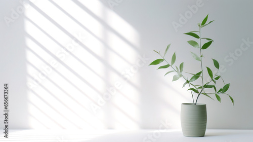 A white background with a green stem on it  in the style of light and shadow  windows vista  Japanese aspiration  wallpaper  suspended hanging  light gray  minimalist image