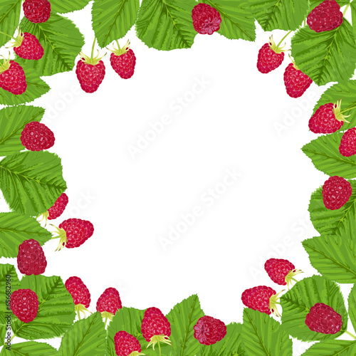 Square frame of raspberries and green leaves on a white background 