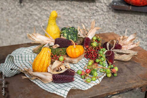 Stilleben mit Kürbiss, roten Beeren und Maiskolben, rustikale, natürliche Dekoration im Herbst, Tischdekoration
