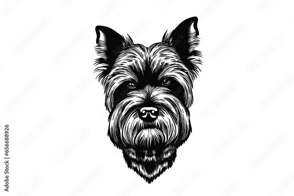 Cesky Terrier Portrait: A Vector Portrait of an Elegant Canine