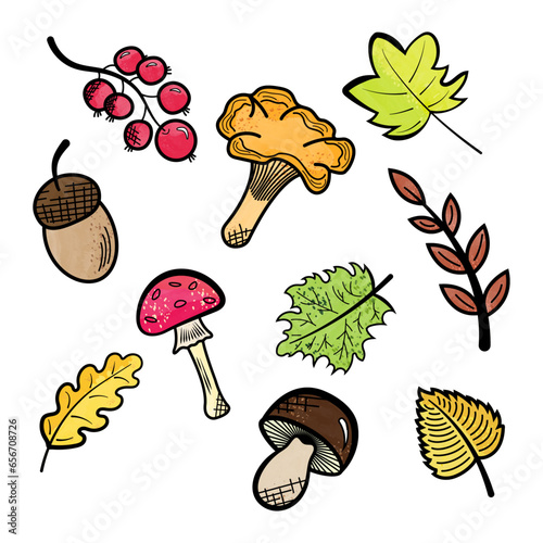 autumn forest set consisting of leaves, rowan, mushrooms and acorn, with watercolor brushes