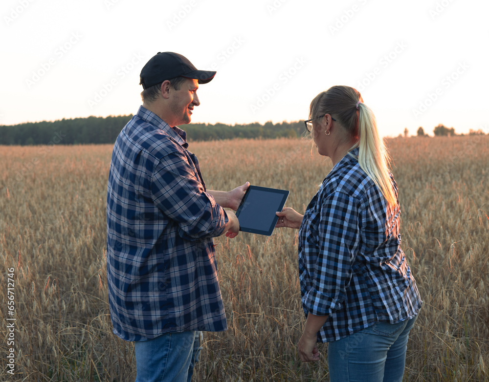 Holding a tablet in their hands, people discuss the grain business against the backdrop of a wheat field at sunset. Harvest and sale of grain. Small business concept.
