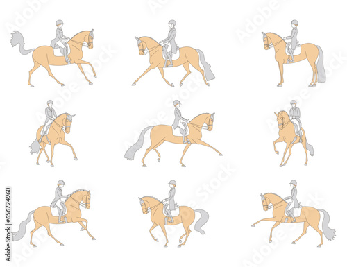 Equestrian dressage, riders on horseback perform different elements of the text, vector © irinamaksimova