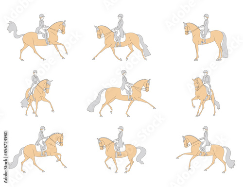 Equestrian dressage, riders on horseback perform different elements of the text, vector