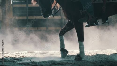 Close up horse hooves step ground. Dust and smoke swirls. Slow motion. Equestrian sport and active lifestyle. Animals concept.