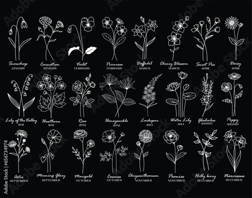 Birth Month Flower Floral Clipart Bundle 24 Design
