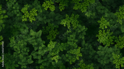 Seamless Tile - Forest Illustration - Repeating Pattern - Generative AI © MrGeoff