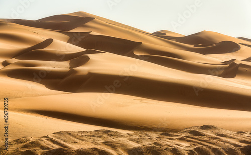 The Empty Quarter's Adventures- DESERT SAFARI