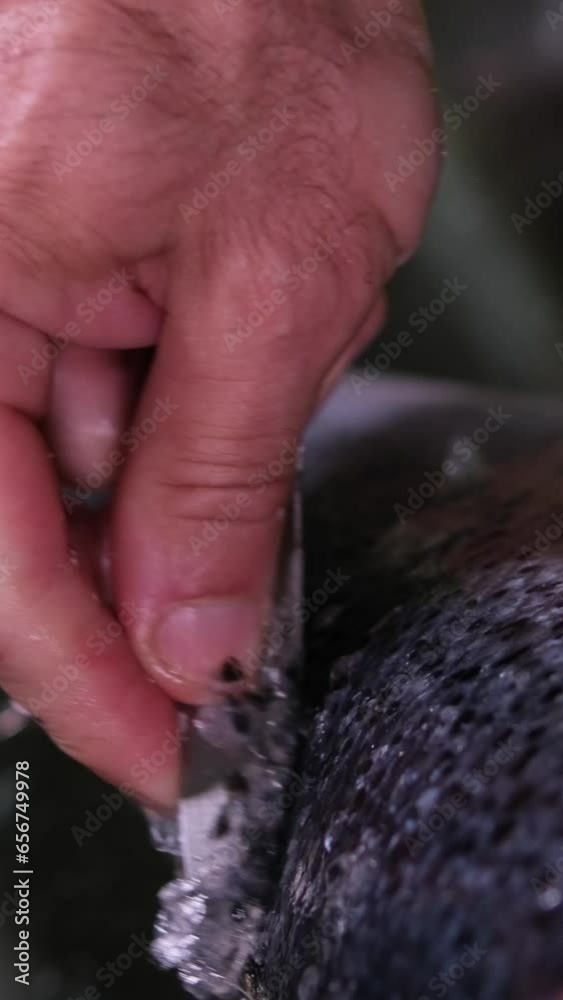 process of salting red fish salmon peel the fish from the husk cover it with Salt and leave it for salting for a while delicious Healthy food natural product seafood male hands close-up. clean fish