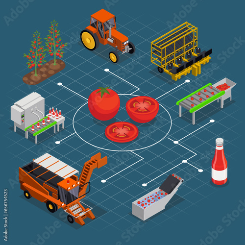 Tomatoes Production Isometric Flowchart