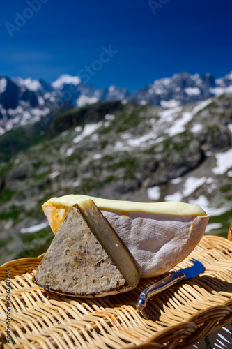 Cheese collection, Reblochon and Tomme de Savoie cheese from Savoy region in French Alps, mild cow's milk cheese with beige interior and thick brownish-grey rind close up photo