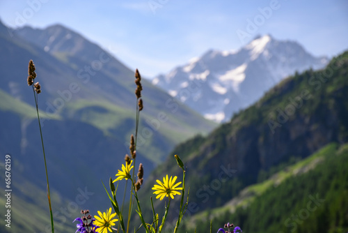 Mountains view between La Grave freeride ski village and Col du Lautaret, Massif des Ecrins, Hautes Alpes, France in summer