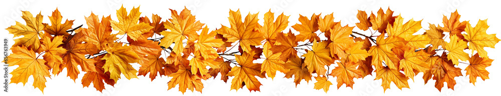 Fototapeta premium Isolated Autumn Foliage Leaves border Decoration/Illustration