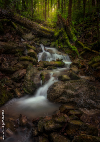 Rainforest Falls 