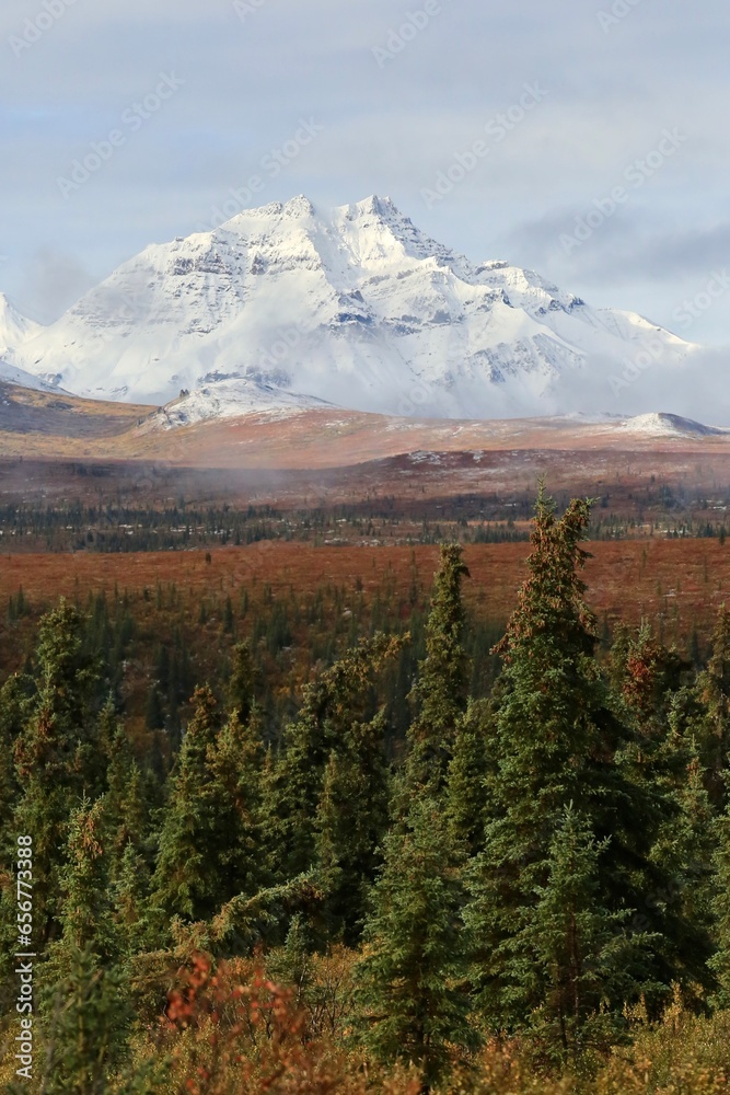 Fototapeta premium Mountain in Denali National Park