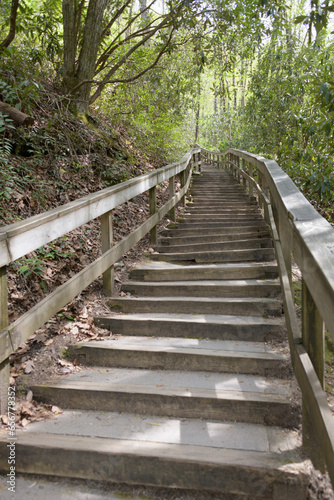 Fototapeta Naklejka Na Ścianę i Meble -  Long staircase on trail to Mingo Falls