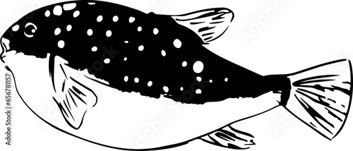 クサフグの魚拓イラスト