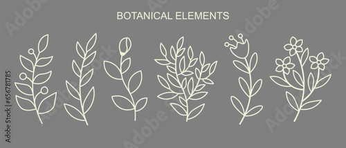 Botanical element set. Outline flowers isolated on dark background.
