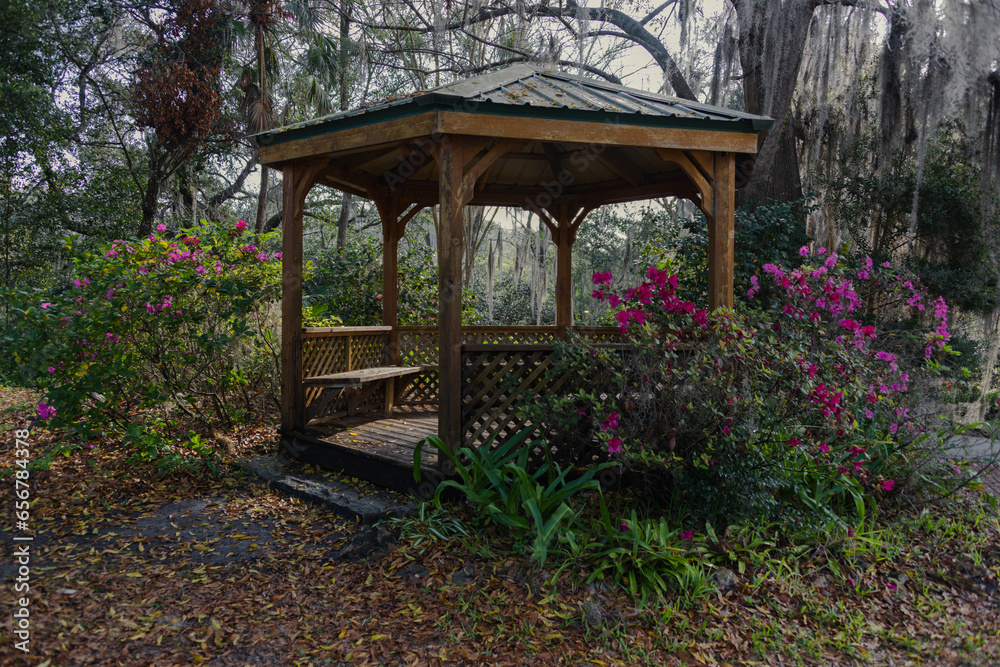 Wooden gazebo surrounded by blooming azaleas Wooden gazebo surrounded by blooming azaleas