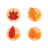 set of autumn leaves