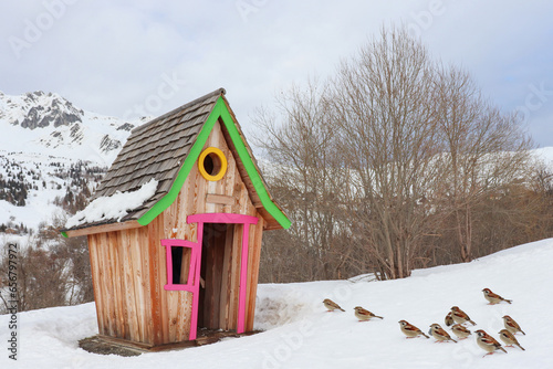 Petits moineaux cherchant refuge près d'une cabane photo