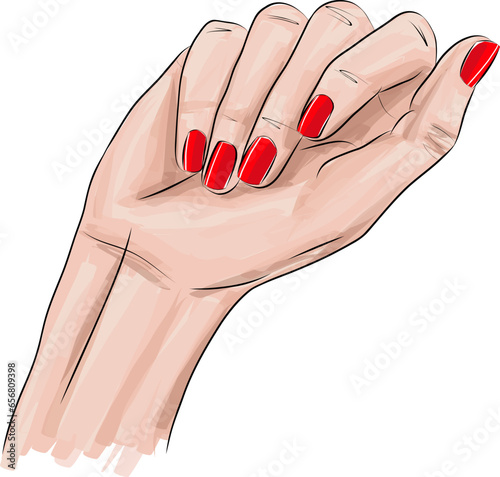 Beautiful woman hand with long red nails manicure, nail polish salon