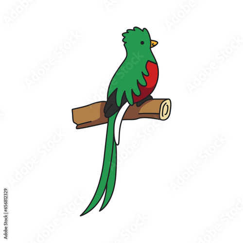 quetzal a tree branch. Vector illustration in cartoon style.