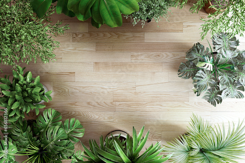 Background image of houseplants on a wood floor