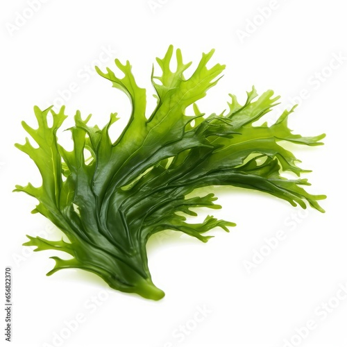 seaweed isolated on white background cutout, Generative AI 